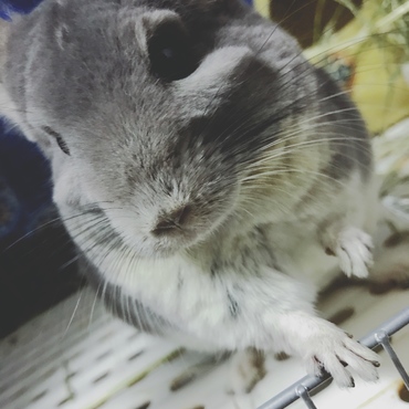の写真