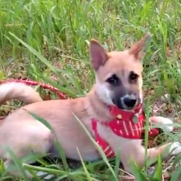 お気に入りの公園