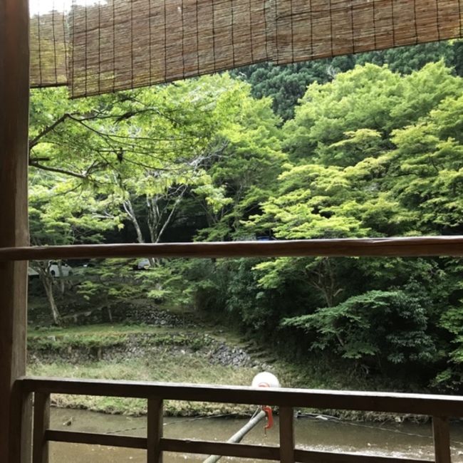 れいほうのカバー写真