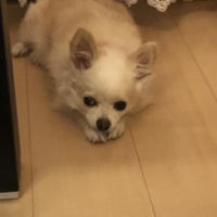 りん