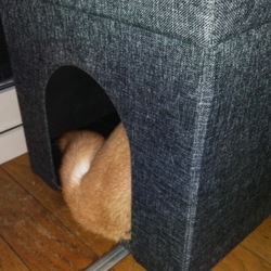 試練の夏(´・ω・｀)