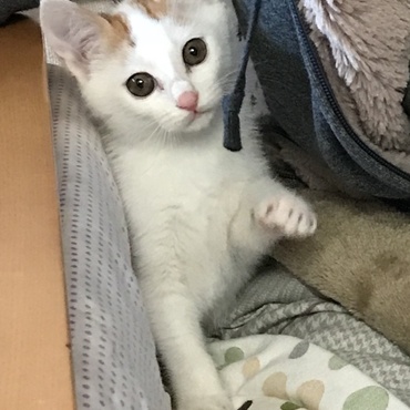 の写真