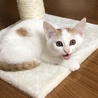 の写真