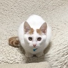 の写真