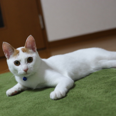の写真