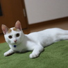 の写真