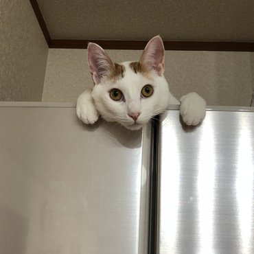の写真