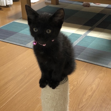 モコの写真