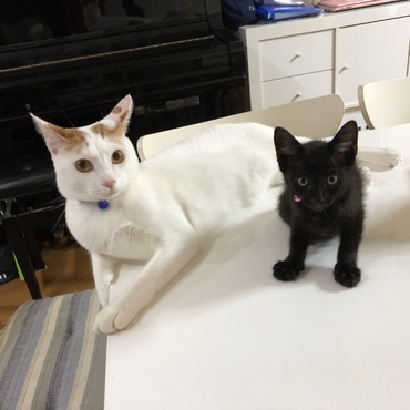 モコの写真