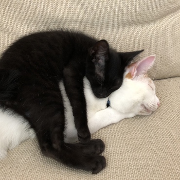 モコの写真
