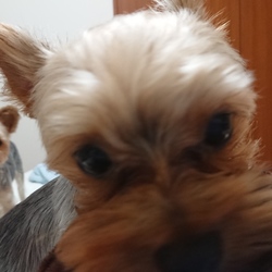 「久しぶりの成長日記」サムネイル2