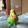 Fwkg