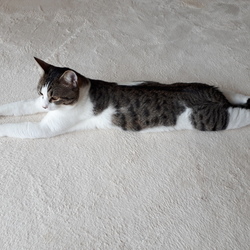 成長    (*≧艸≦)ﾌﾟﾌﾟｯ　その２