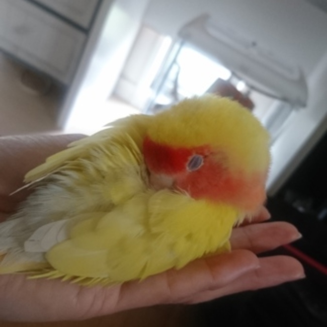 うみとはなのカバー写真