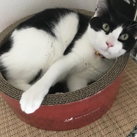 福丸