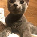 交渉中