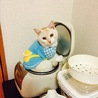  さん