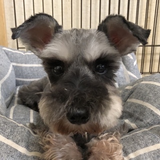 ビビリだけど人が大好きな女の子♪