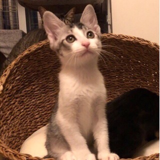 8/18池袋★モモちゃん★とても元気な女の子