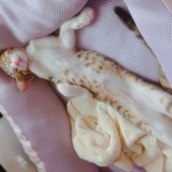 お久しぶりです〜