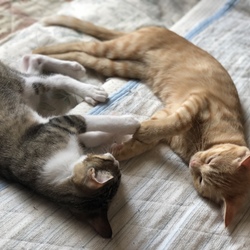 「お久しぶりです〜」サムネイル2