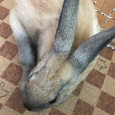 の写真
