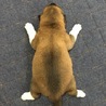 シロのママ