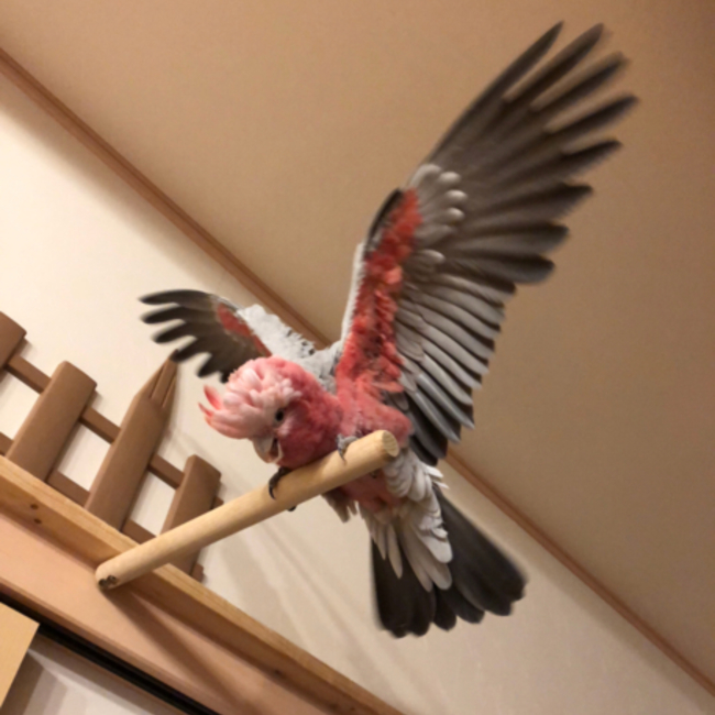 kay1701のカバー写真