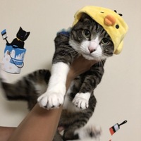 空虎(くうが)