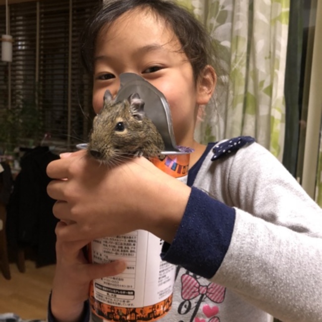 りくみくのカバー写真