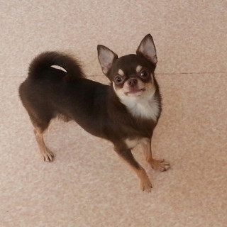 現在応募頂いた方とお話中につき一旦募集を終了します