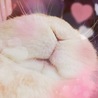 あやのちゃんあやのちゃん