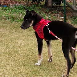 「☆初盆やったね…もか♡」サムネイル1