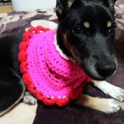 「☆初盆やったね…もか♡」サムネイル2