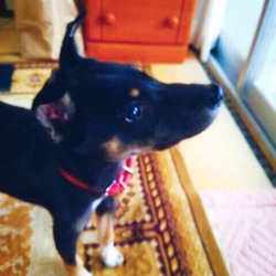 「☆初盆やったね…もか♡」サムネイル3