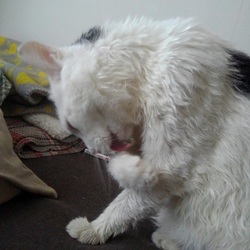 「お風呂日和」サムネイル2