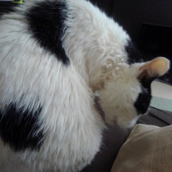 「お風呂日和」サムネイル3