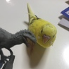 殿
