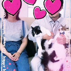 正式譲渡♥にゃあにゃ(ルーク）