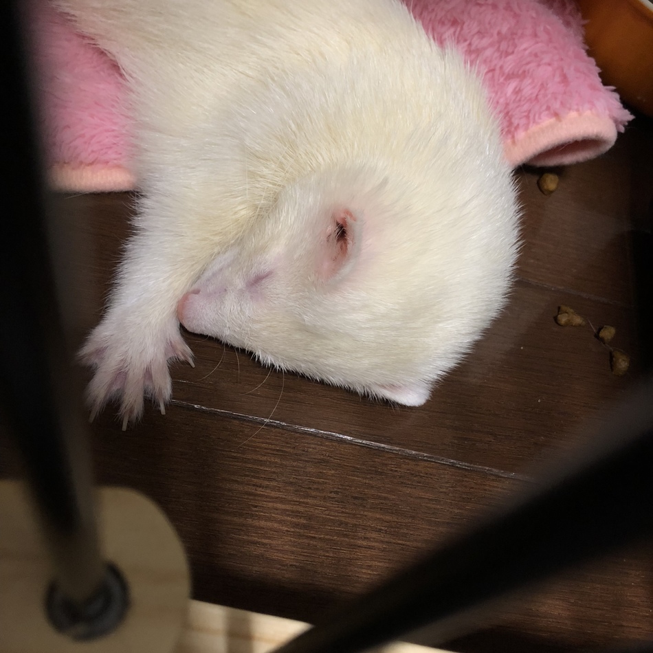 おうじのカバー写真