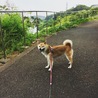 の写真