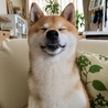 の写真