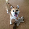 の写真