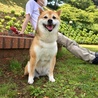 の写真