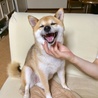 の写真