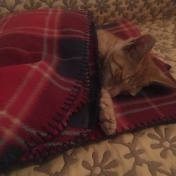 元気になってきました