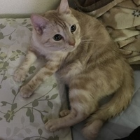 メル