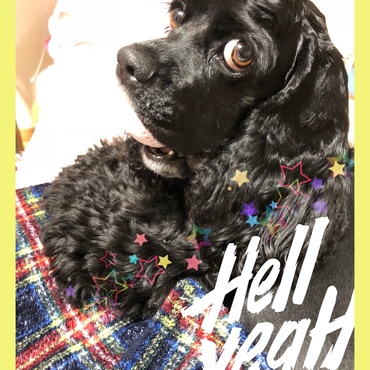 の写真