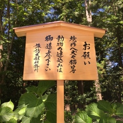 「飼い主の休日 in 諏訪大社」サムネイル2