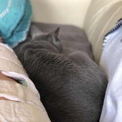 怪我をしました